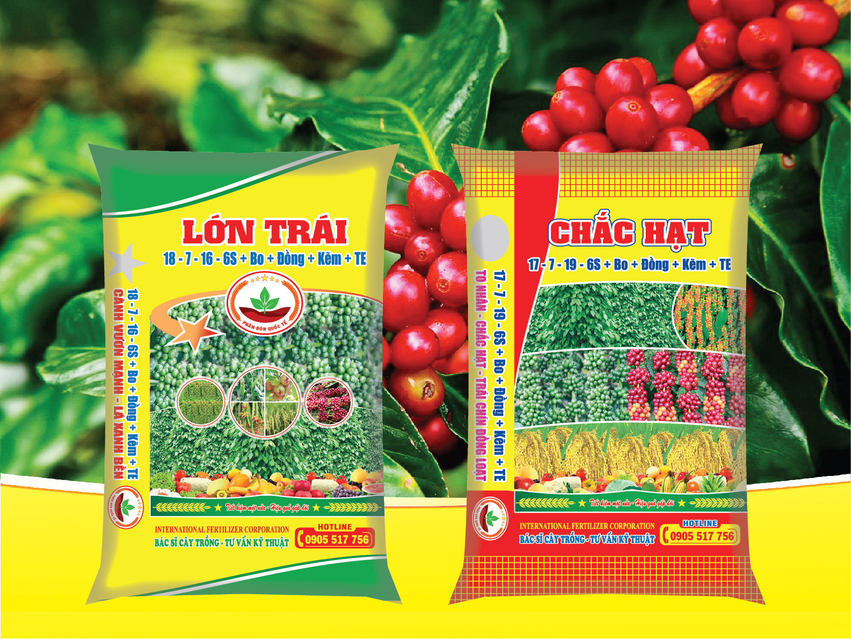 NHÓM PHÂN BÓN CÀ PHÊ MÙA MƯA